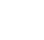 The Wicked Wild Logo